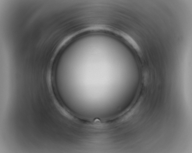 X0000114070895200910131203