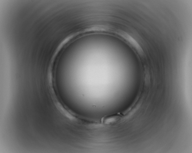 X0000114070896200910131203