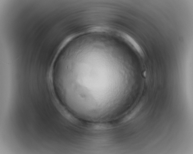 X0000114070899200910131203