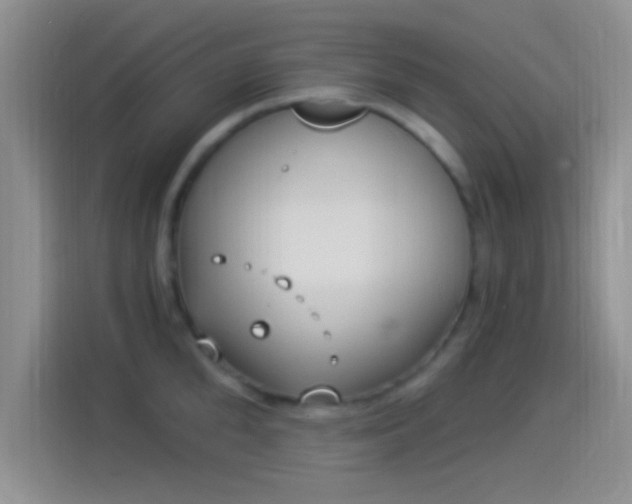 X0000114070904200910131203