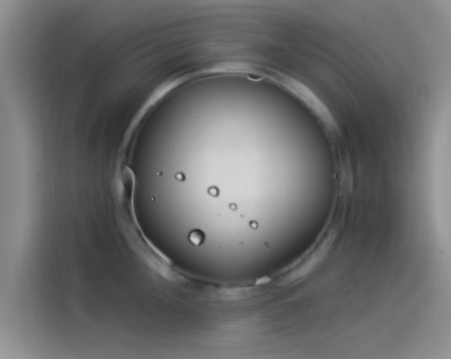 X0000114070908200910131203