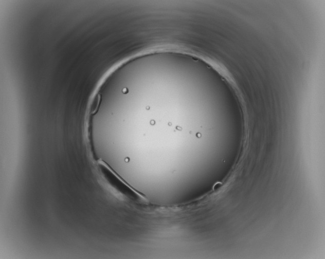 X0000114070912200910131203