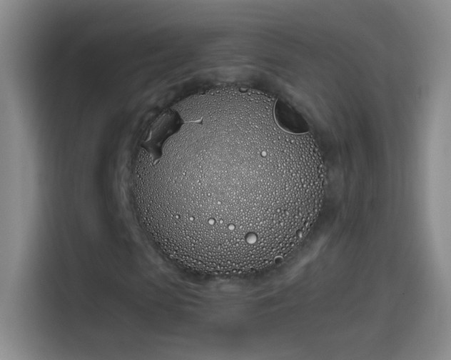 X0000114070913200910131202