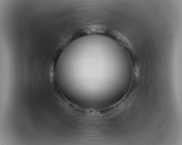 X0000114070915200910131203