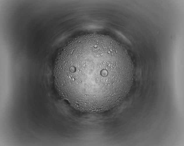 X0000114070917200910131203