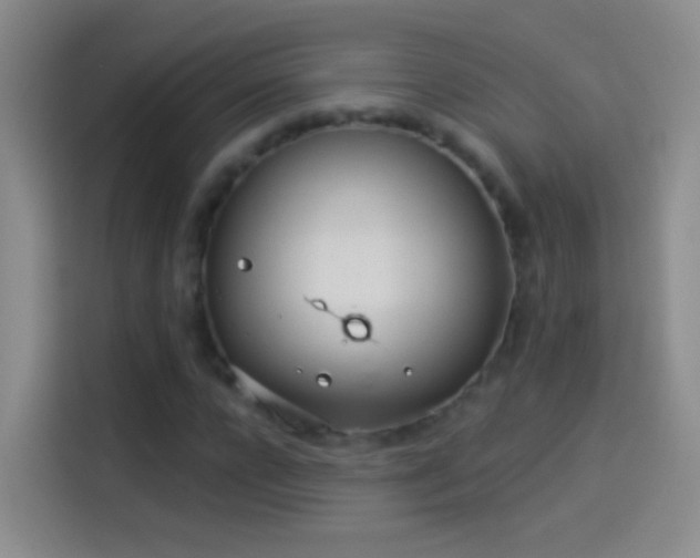 X0000114070920200910131203