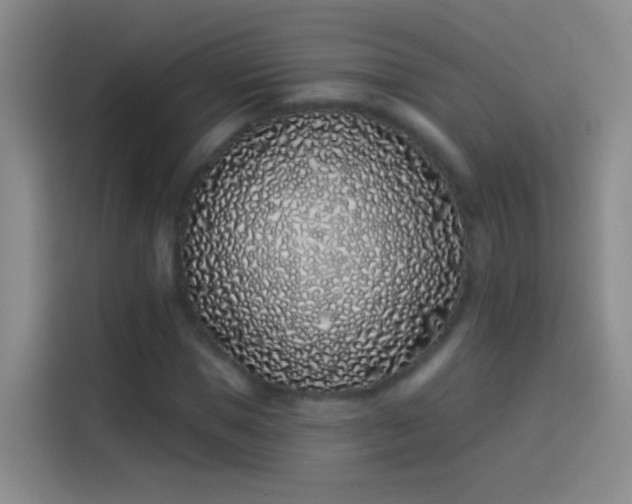 X0000114070921200910131203