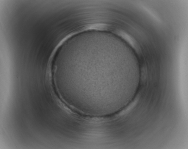 X0000114070923200910131203