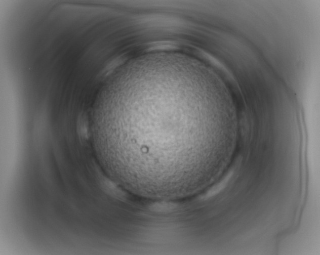 X0000114070929200910131203