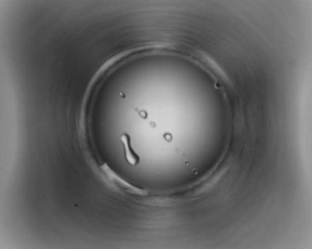 X0000114070932200910131203