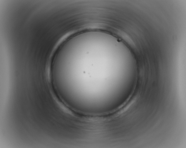 X0000114070934200910131203