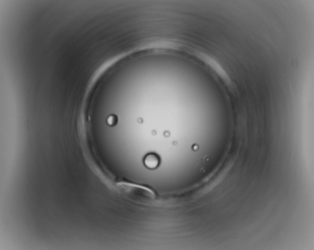 X0000114070936200910131203