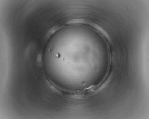 X0000114070937200910131203