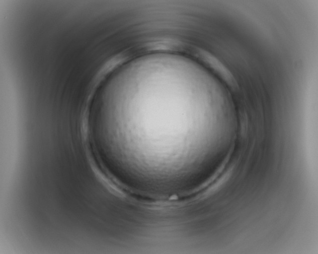 X0000114070938200910131203