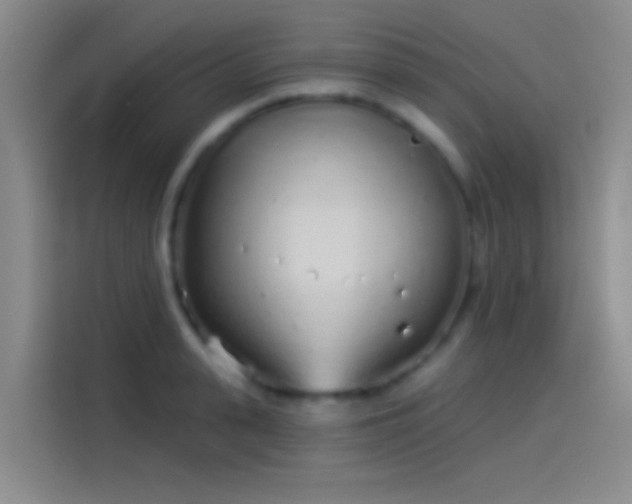 X0000114070943200910131203