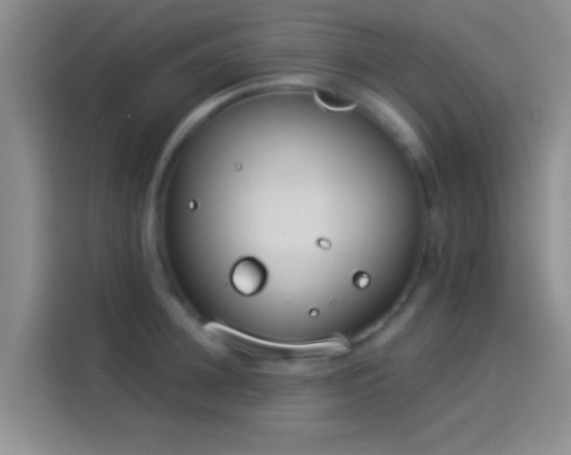 X0000114070948200910131203