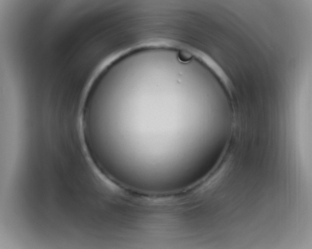 X0000114070951200910131203