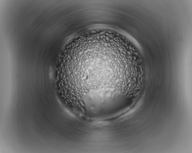 X0000114070953200910131203