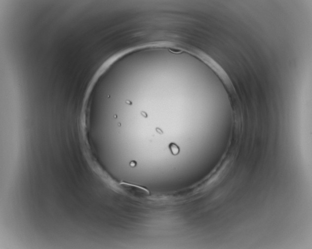 X0000114070956200910131203