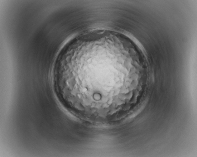 X0000114070957200910131203