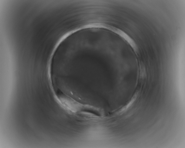 X0000114070958200910131203