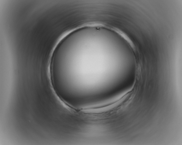 X0000114070959200910131203