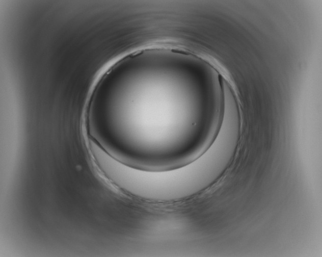 X0000114070960200910131203