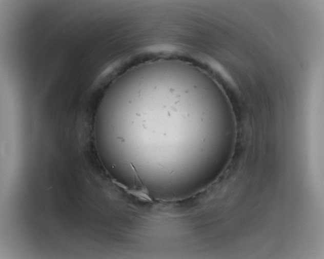 X0000114070967200910131202