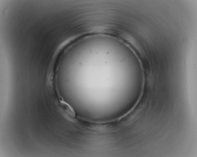 X0000114070971200910131202