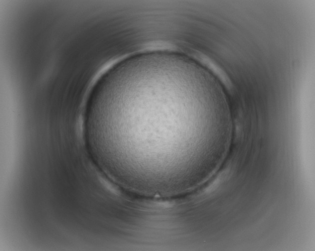 X0000114070975200910131202