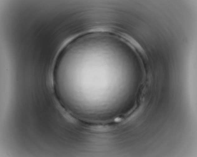 X0000114070980200910131202