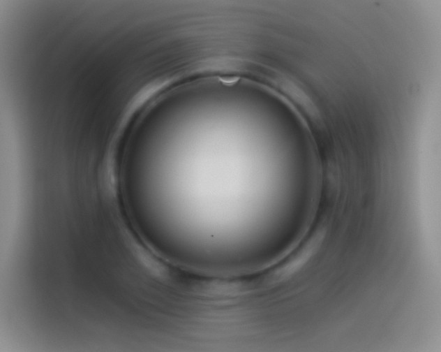 X0000114070981200910131202