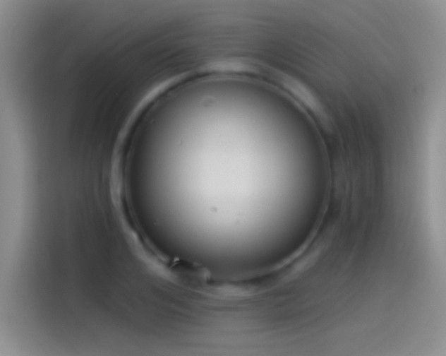 X0000114070984200910131202