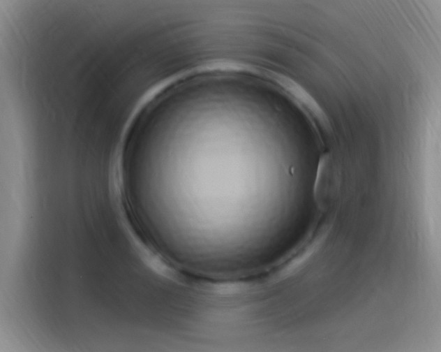 X0000114070988200910131202