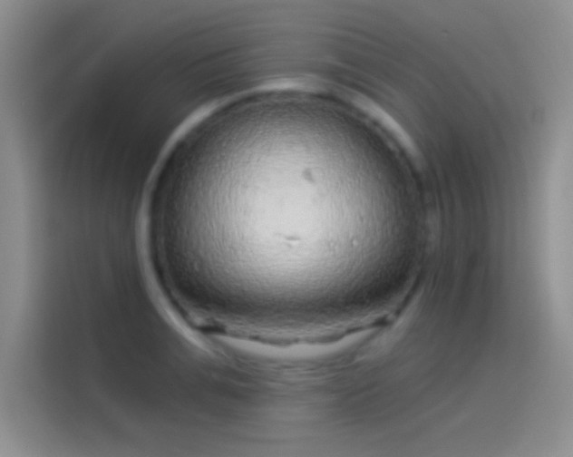 X0000114070991200910131202