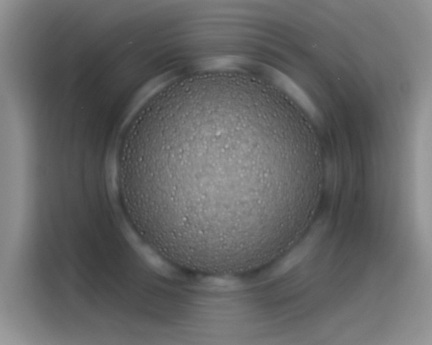 X0000114070994200910131202