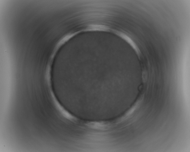 X0000114070995200910131202