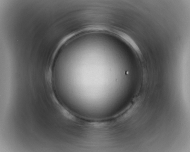 X0000114070996200910131202