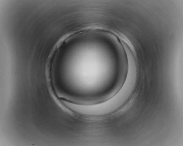 X0000114070997200910131202