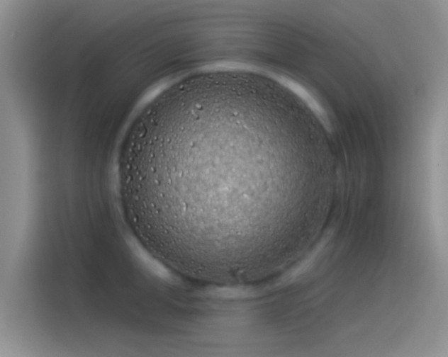 X0000114070998200910131202