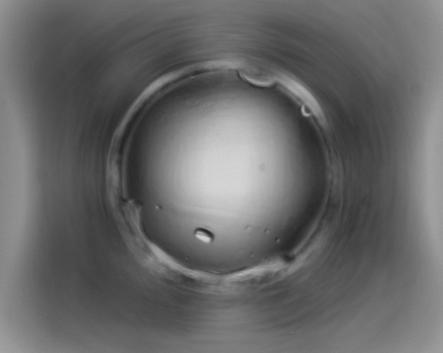 X0000114071000200910131202