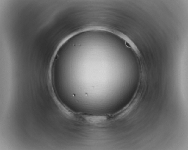 X0000114071004200910131202