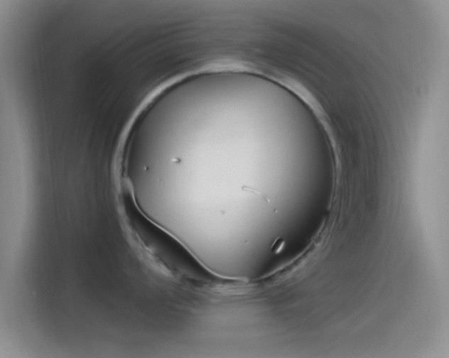 X0000114071008200910131202