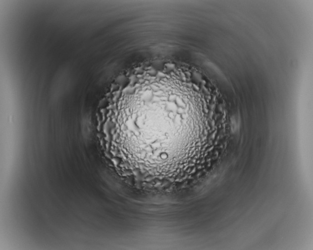 X0000114071011200910131201