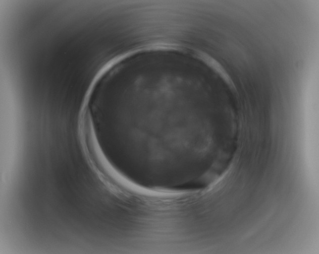 X0000114071024200910131201