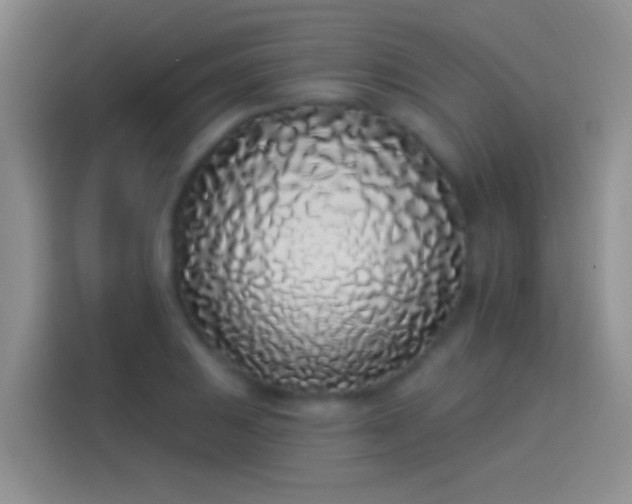 X0000114071031200910131201