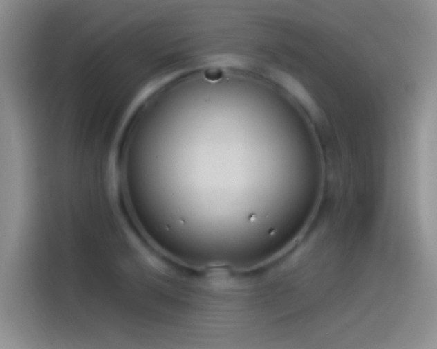 X0000114071032200910131201