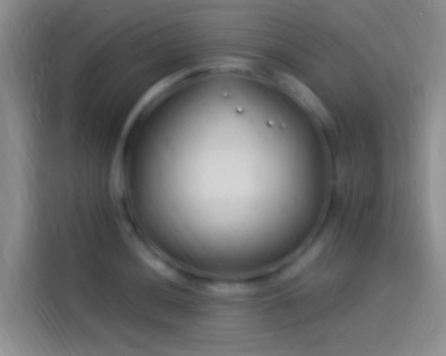 X0000114071036200910131201