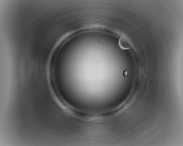 X0000114071038200910131202