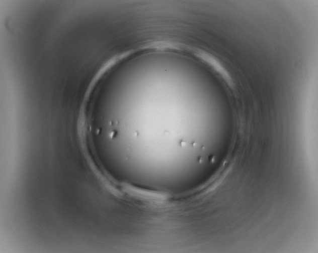 X0000114071040200910131202